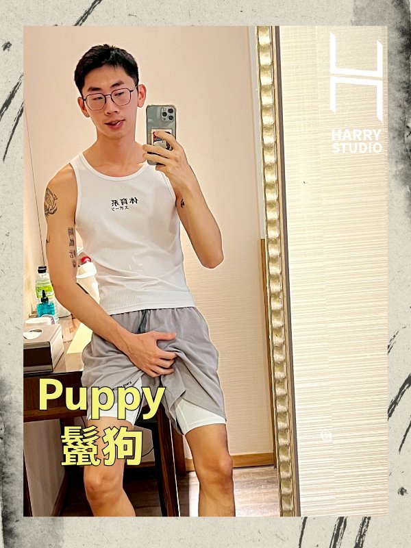 HarryStudio哈利工作室 - 鬣狗