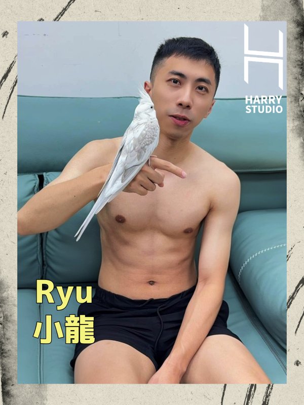 HarryStudio哈利工作室 - 小龍