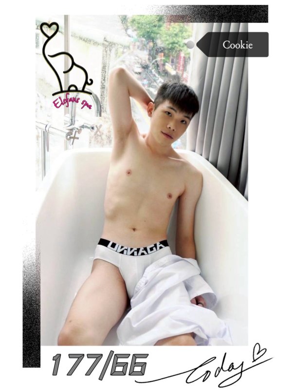 象spa｜ ELEFANS SPA - Cookie