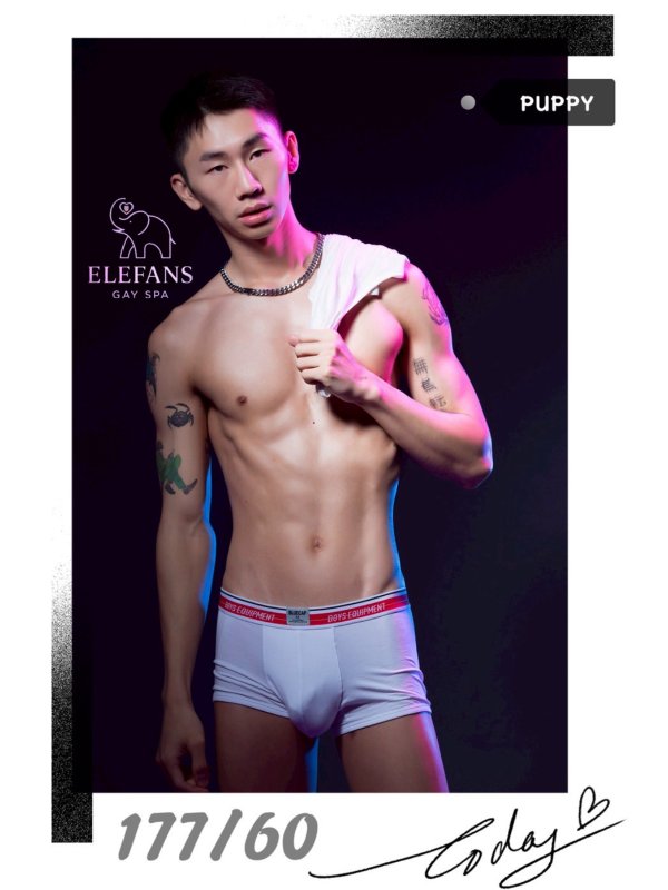 象spa｜ ELEFANS SPA - Puppy